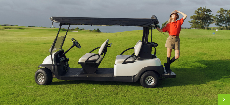Electric golf cart manufacturer,